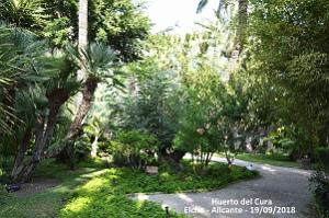 19 ELCHE HUERTO DEL CURA (47)